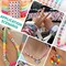 Girls Toys Bracelet Making Kit, Clay Beads Jewelry Activity Kit, DIY Crafts Birthday Christmas Gifts for Girls Ages 5 6 7 8 9 10 11 12 Years Old (24 Colors 6500 Pcs)